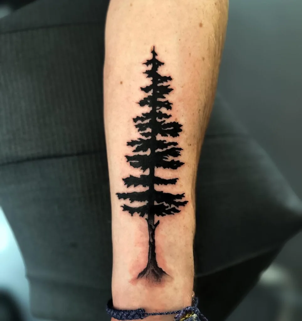 Pine Tree Tattoos For Women Symbols Of Strength Endurance And Growth Pine Tree Tattoos For Women Symbols Of Strength Endurance And Growth